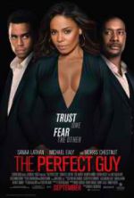 Watch The Perfect Guy Fmovies