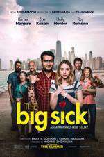 Watch The Big Sick Fmovies