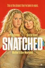 Watch Snatched Fmovies