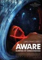 Watch Aware: Glimpses of Consciousness Fmovies