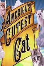 Watch America's Cutest Cat Fmovies