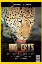 Watch National Geographic: Living With Big Cats Fmovies