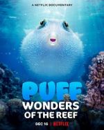 Watch Puff: Wonders of the Reef Fmovies