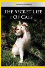 Watch National Geographic The Secret Life of Cats Fmovies