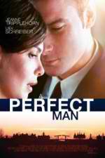 Watch A Perfect Man Fmovies