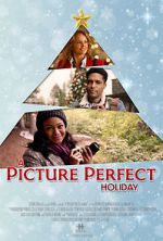 Watch A Picture Perfect Holiday Fmovies