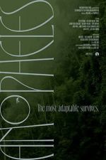 Watch Anopheles Fmovies