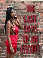 Watch The Last Days of an Escort Fmovies