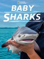 Watch Baby Sharks Fmovies