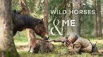 Watch Wild Horses, the Rockies and Me (TV Special 2025) Fmovies