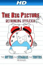 Watch The Big Picture Rethinking Dyslexia Fmovies