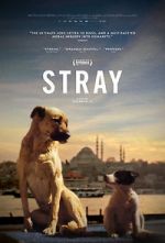 Watch Stray Fmovies