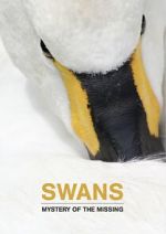 Watch Swans: Mystery of the Missing Fmovies
