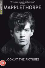 Watch Mapplethorpe: Look at the Pictures Fmovies