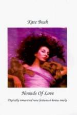 Watch 8 Million Ways to Die Fmovies