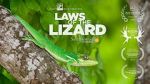 Watch Laws of the Lizard Fmovies