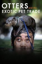 Watch Otters and the Exotic Pet Trade Fmovies