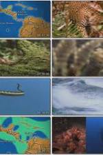 Watch National Geographic:  Worlds Deadliest Animals - North America Fmovies