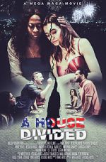 Watch A House Divided Fmovies