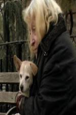 Watch Water in the Boat Fmovies