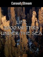Watch Life 2,000 Meters Under the Sea Fmovies