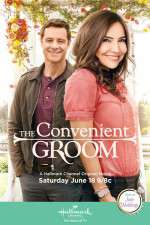 Watch The Convenient Groom Fmovies