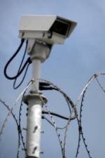 Watch Out Of Jail And On The Streets Fmovies