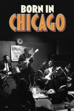 Watch Born In Chicago Fmovies