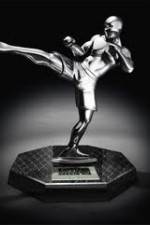Watch World MMA Awards 2010 Fmovies