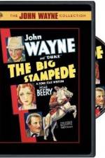 Watch The Big Stampede Fmovies