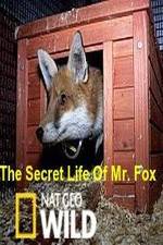 Watch The Secret Life of Mr. Fox Fmovies