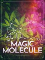 Watch Magic Molecule Fmovies