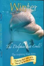 Watch Winter The Dolphin That Could Fmovies