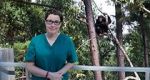 Watch Sue Perkins and the Chimp Sanctuary Fmovies
