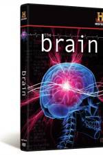 Watch The Brain Fmovies