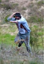Watch Riot or Revolution: Eureka Stockade 1854 Fmovies