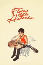 Watch Flores para Antonio Fmovies