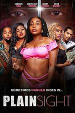 Watch Plain Sight Fmovies
