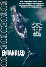 Watch Entangled: The Race to Save Right Whales from Extinction Fmovies