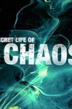 Watch The Secret Life of Chaos Fmovies