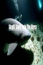 Watch National Geographic Wild Sixgill Shark Into The Abyss Fmovies