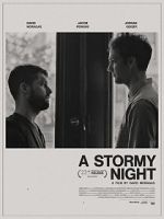 Watch A Stormy Night Fmovies