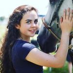 Watch Wildfire: The Legend of the Cherokee Ghost Horse Fmovies