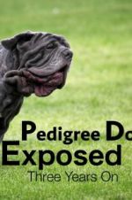 Watch Pedigree Dogs Exposed, Three Years On Fmovies
