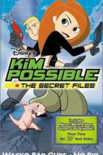 Watch "Kim Possible" Attack of the Killer Bebes Fmovies