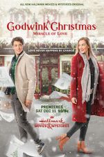 Watch A Godwink Christmas: Miracle of Love Fmovies