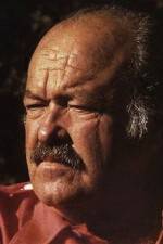 Watch The Return of Frank Cannon Fmovies