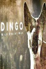Watch Dingo Wild Dog at War Fmovies