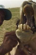 Watch With the Nomads Fmovies