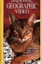 Watch Cats Caressing the Tiger Fmovies
